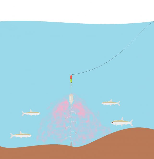 アジのぶっこみ釣り】サビキ仕掛けを遠投して海底の良型を攻略 | Red wave