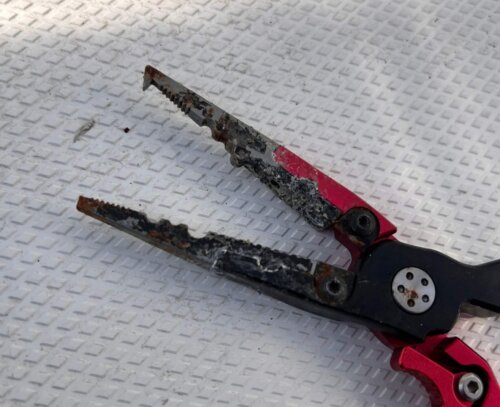 サビが出ているウミボウズプライヤー